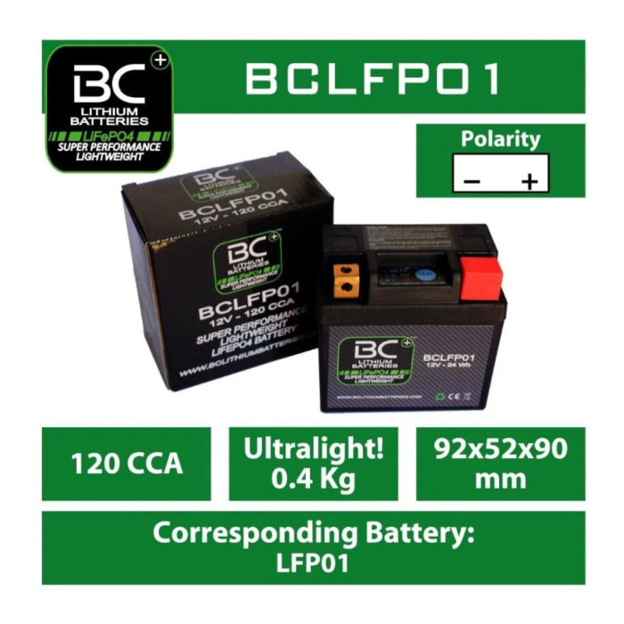 Batteria Litio Lifepo4 Bclfp01