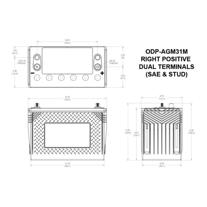 Batteria Odyssey Odp-agm31m (ex 31m-pc925) Agm Nautica E Diporto 100 Ah.