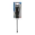 Cross Screwdriver Ph2x100