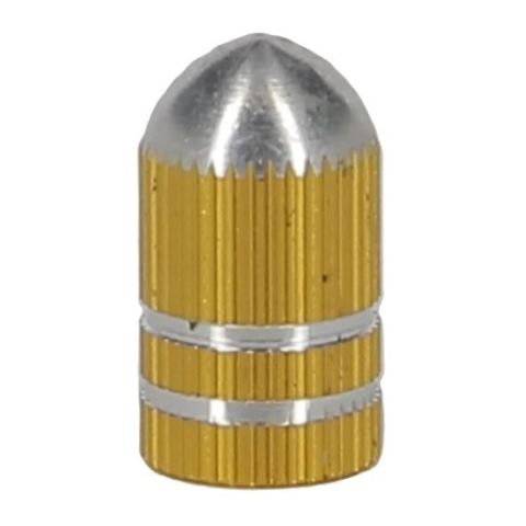 Paar Vicma goldene Ventildeckel