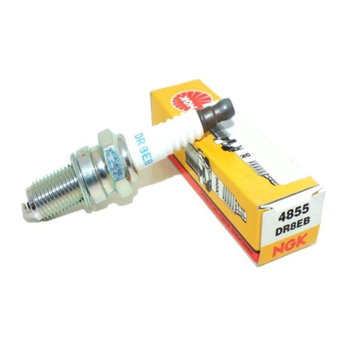 Kerze Ngk Dr8eb