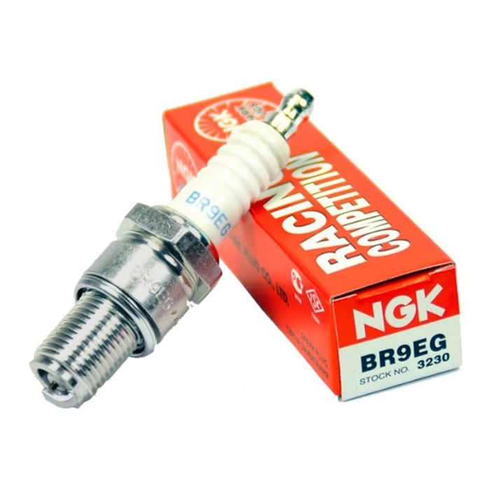 Candela Ngk Br9eg