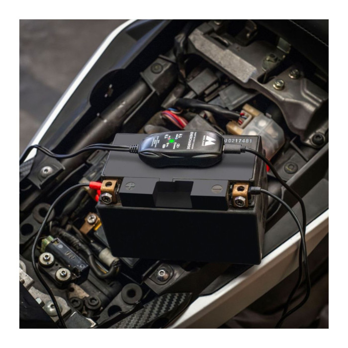 MidlandCarica Batterie E Mantenitore Di Carica A 12 Volt