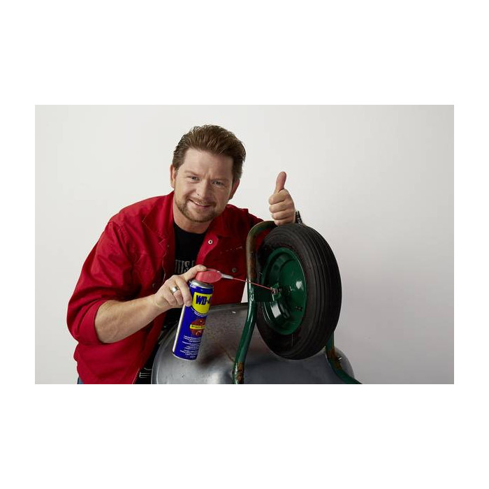 Wd-40 Spray 250ml Doppia Poisizione