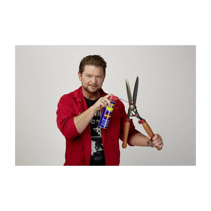 Wd-40 Spray 250ml Doppia Poisizione