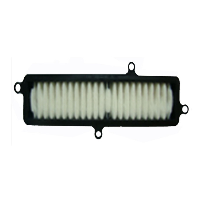 Suzuki Uh Burgman 125/200 07- Filtro Aria E17613