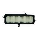 Suzuki Uh Burgman 125/200 07- Filtro Aria E17613