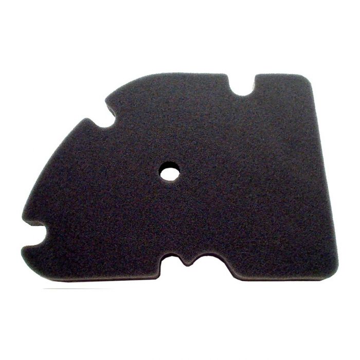 Piaggio X Evo 125/200/250- Vespa 125/200 Filtro Aria E17630