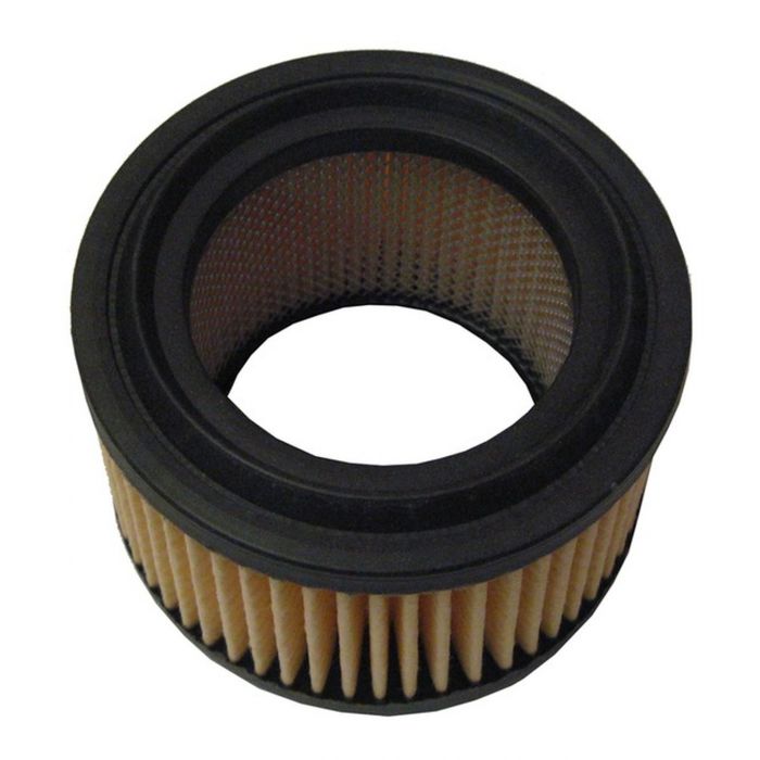 Bmw C1 125/200 99-03 Filtro Aria E17635